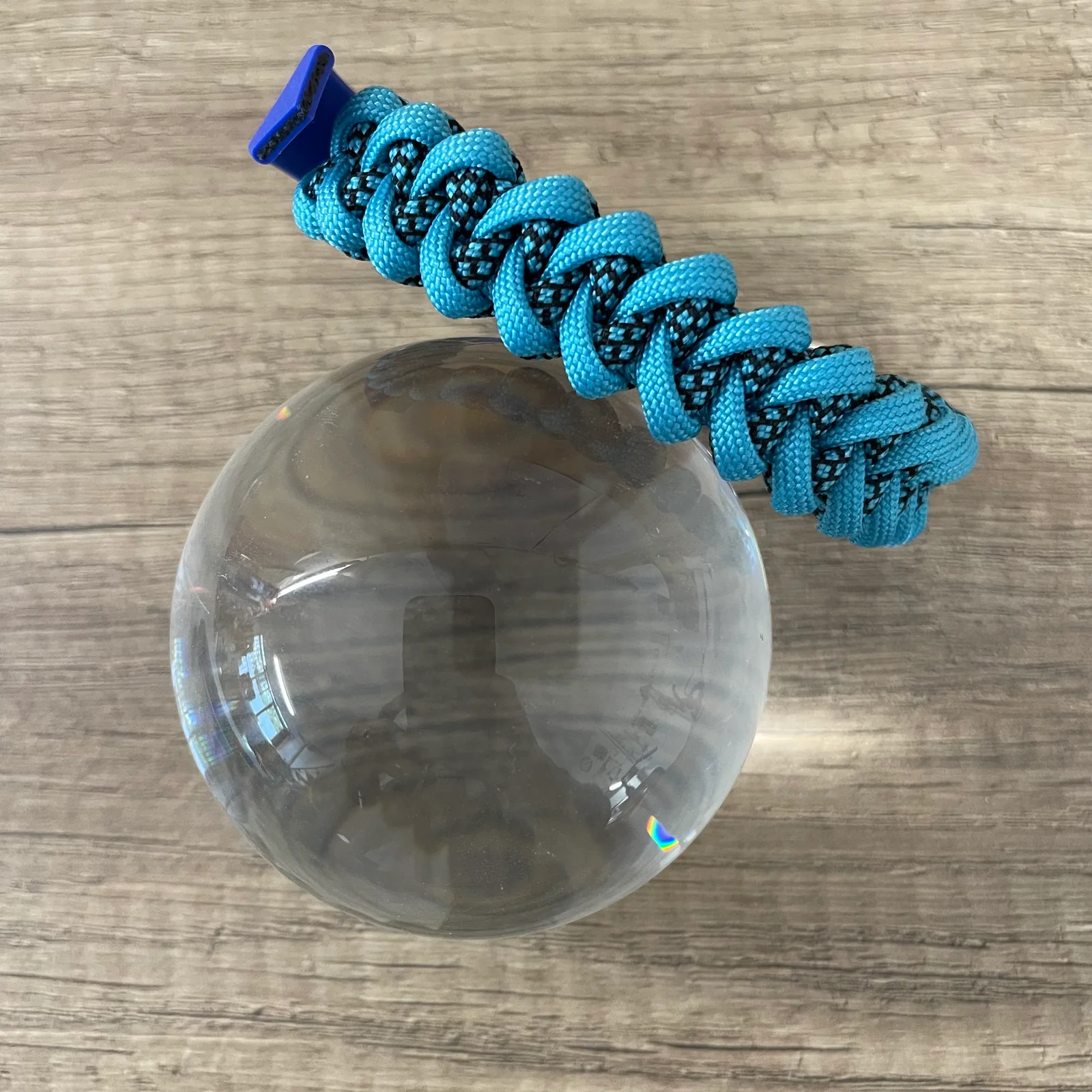 Coleira de Tubarão - Dia Elétrico