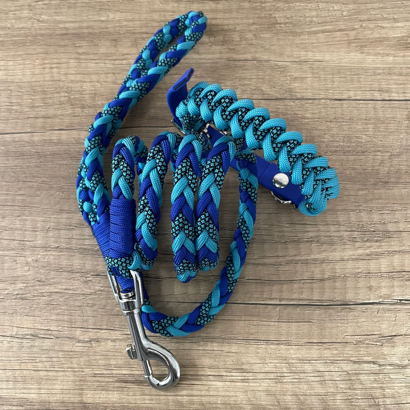 Coleira de Tubarão - Dia Elétrico