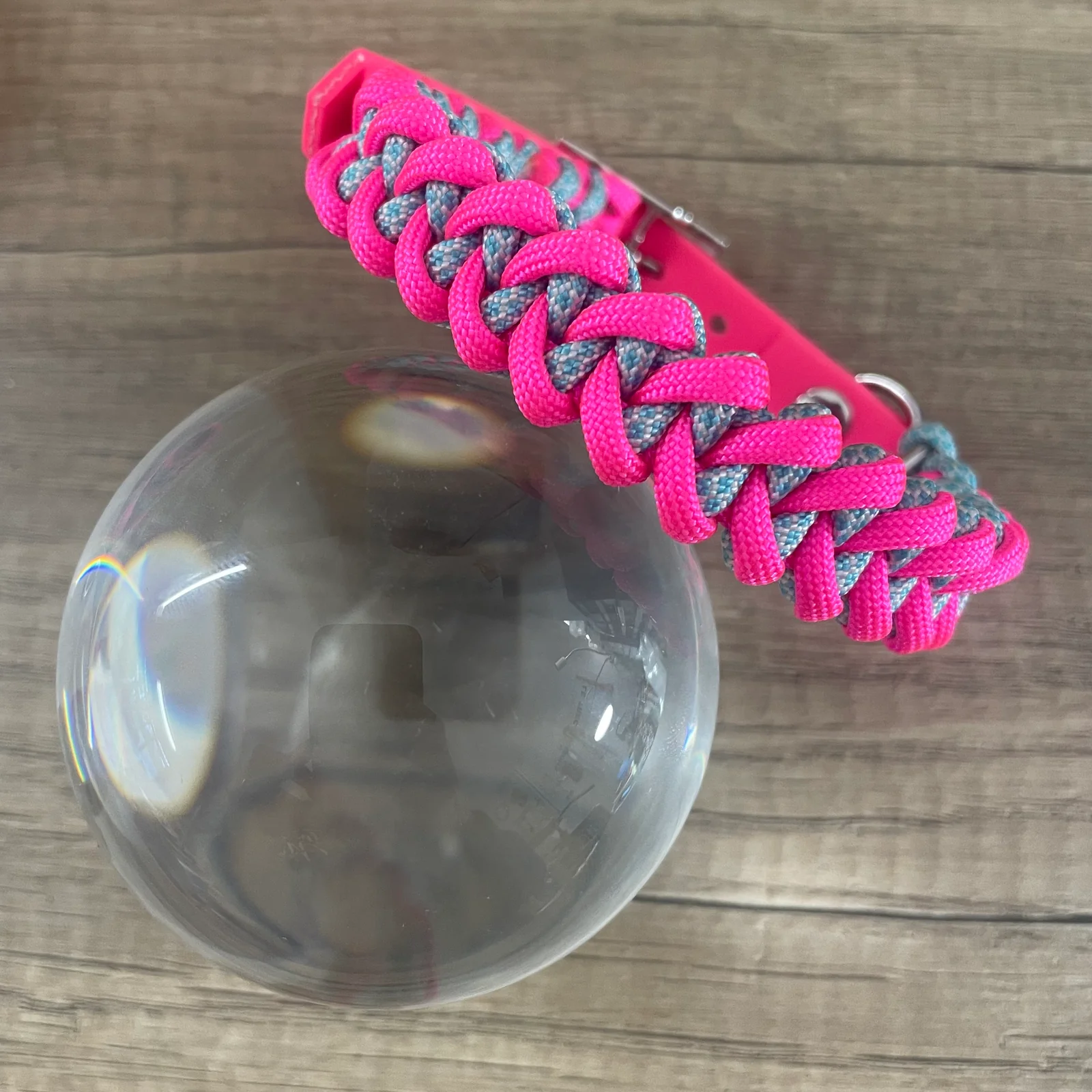 Coleira Tubarão | Neon