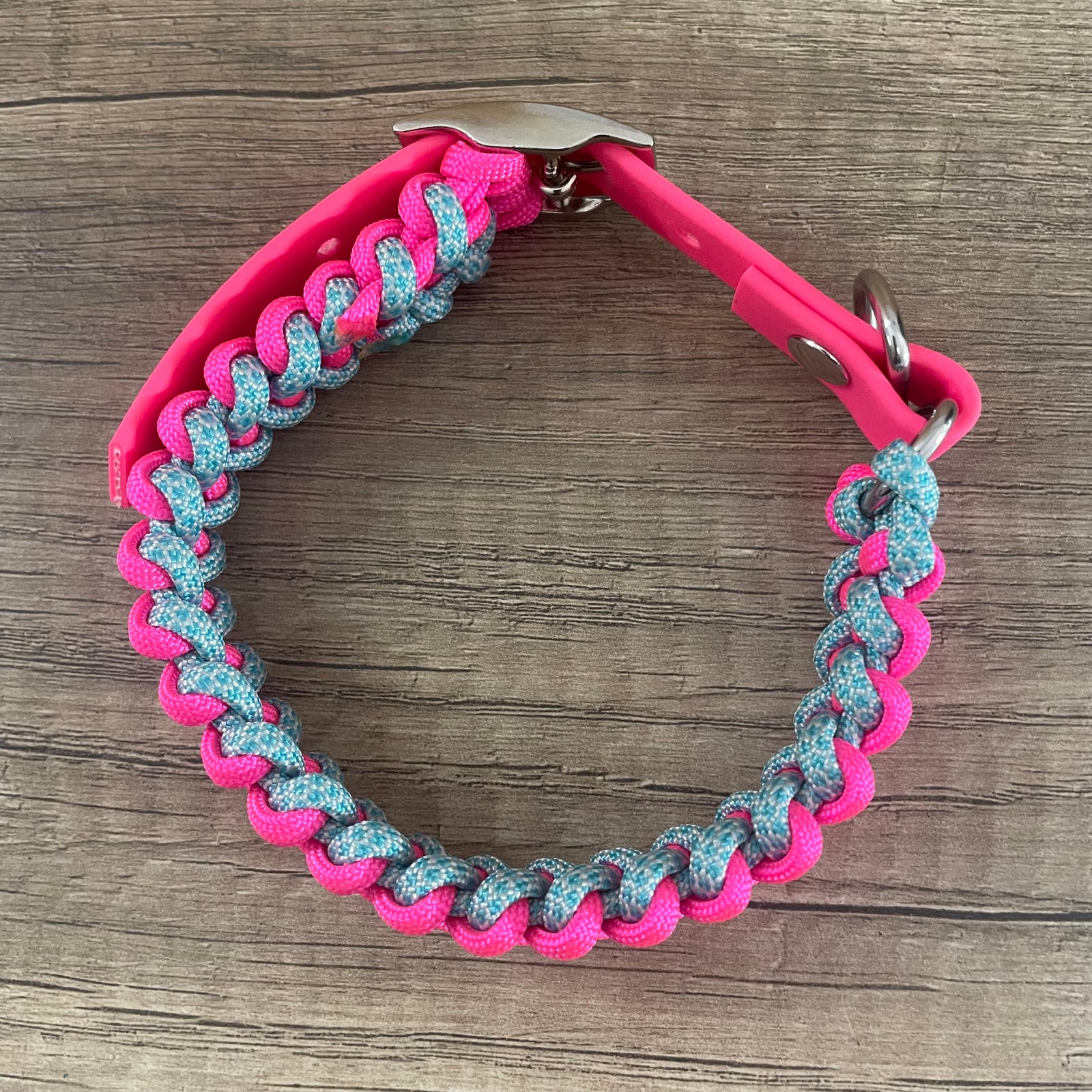 Coleira Tubarão | Neon