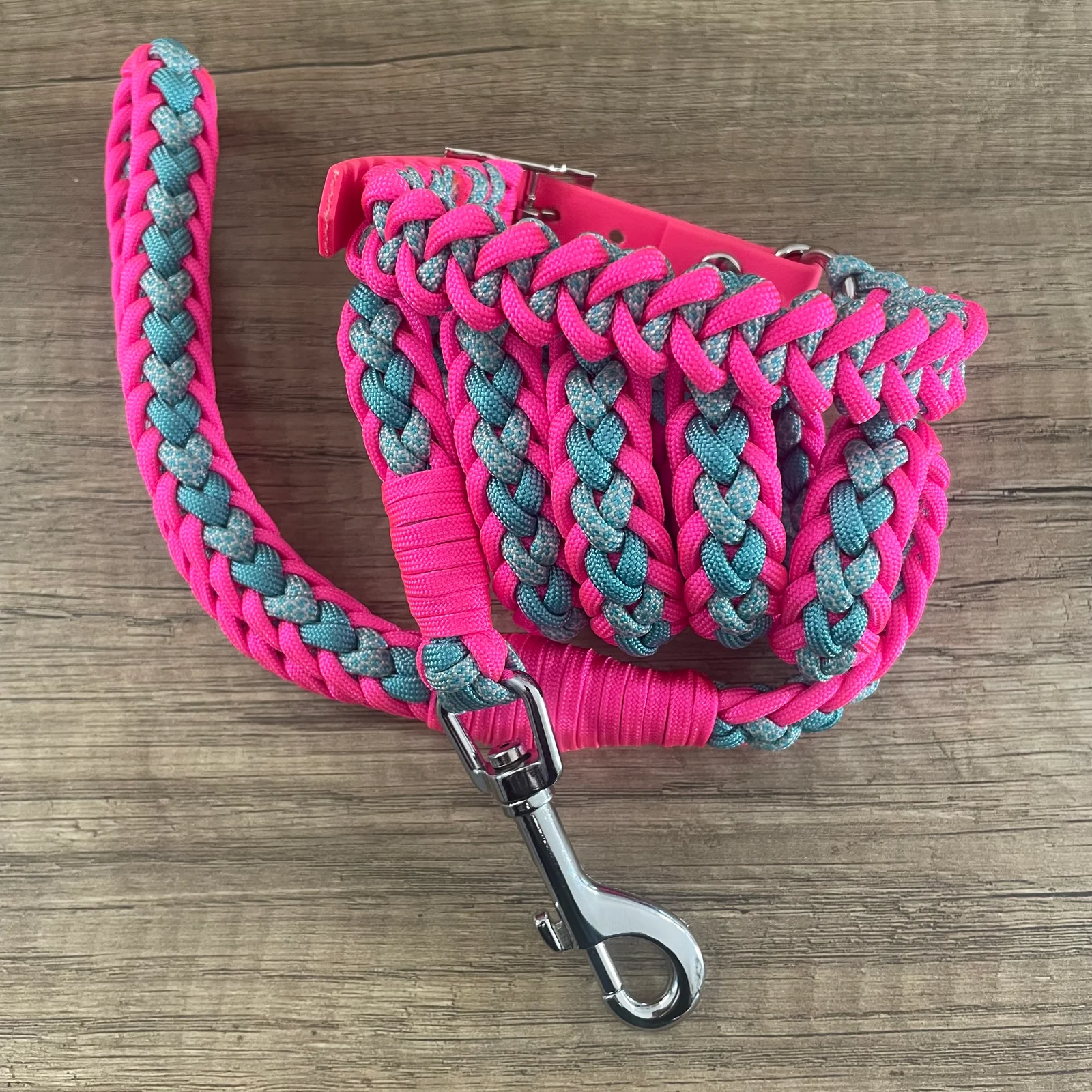 Coleira Tubarão | Neon