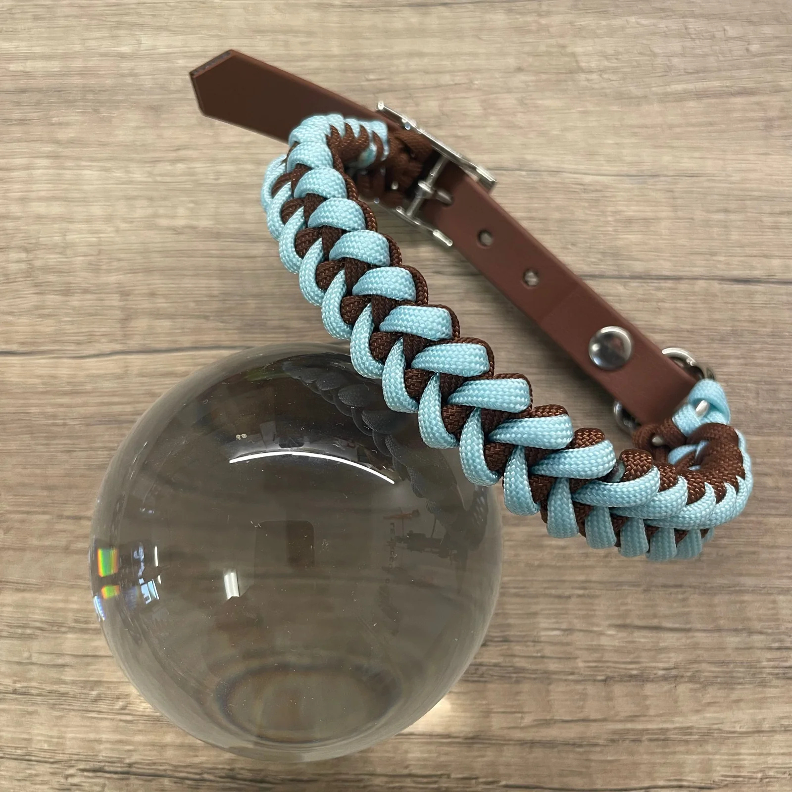 Coleira Tubarão | Brownie de Blueberry