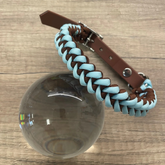 Coleira Tubarão | Brownie de Blueberry