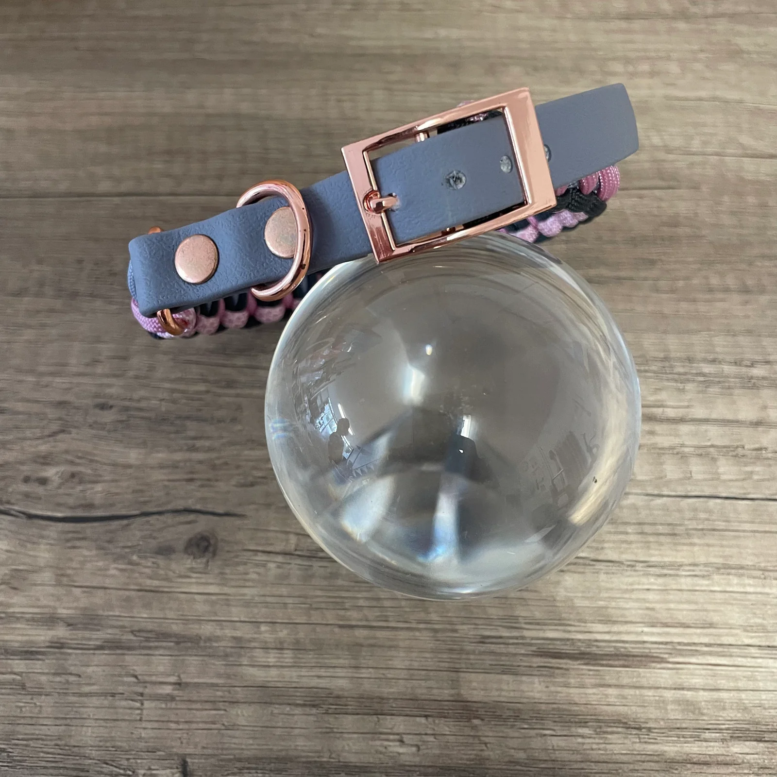 Coleira Barback | Soft Dream