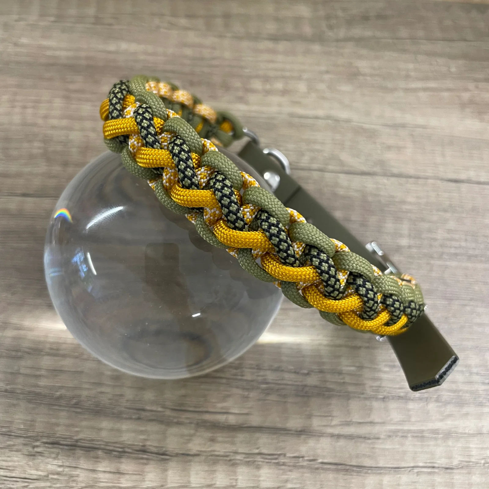 Coleira Barback | Savanna Gold