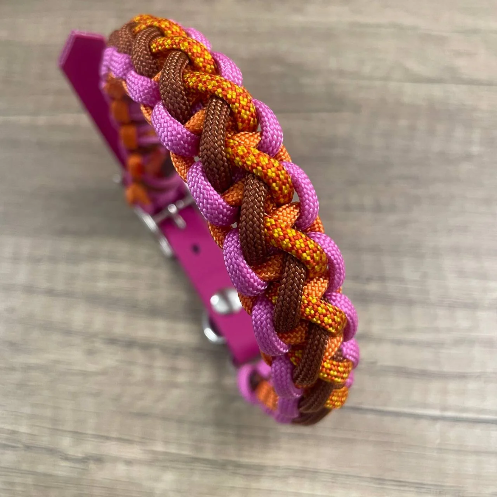 Coleira Barback | Candy Twist