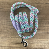 Coleira Q6 | Pastel Brilhante