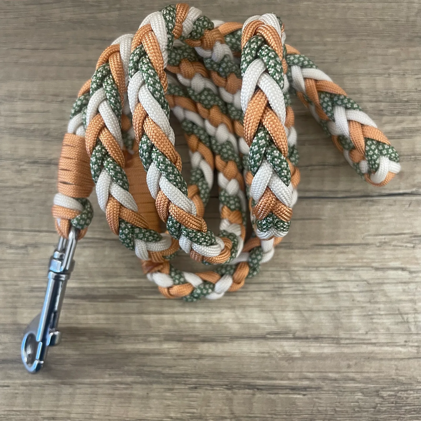 Coleira Q6 | Trilha Selvagem