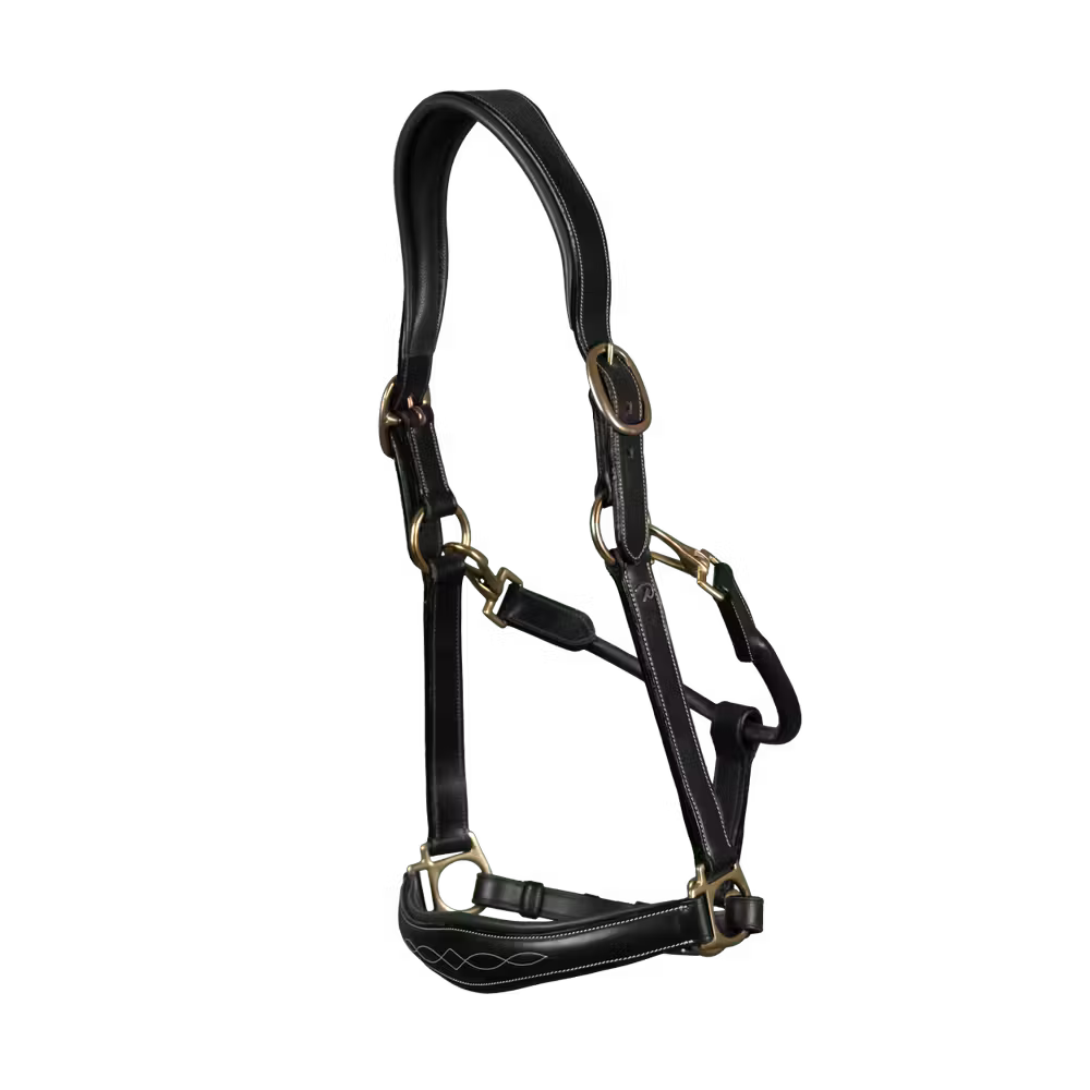 Cabresto | Couro Premium