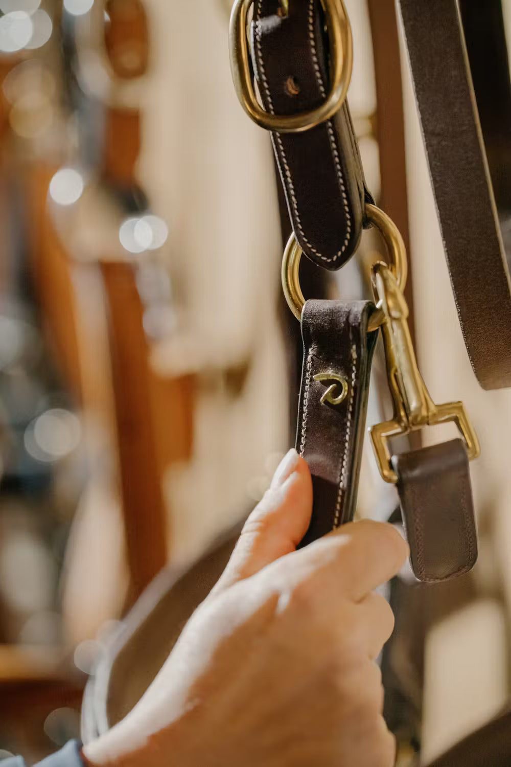 Cabresto | Couro Premium