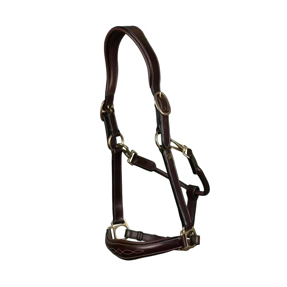 Cabresto | Couro Premium