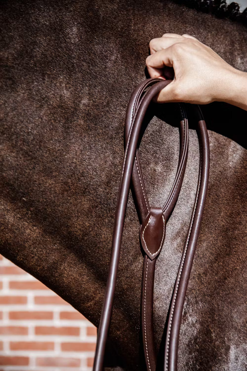 Guia de Cabresto | Couro Premium