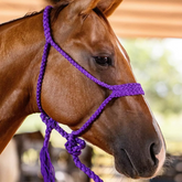 Kit 5 Cabrestos | Cores Sortidas