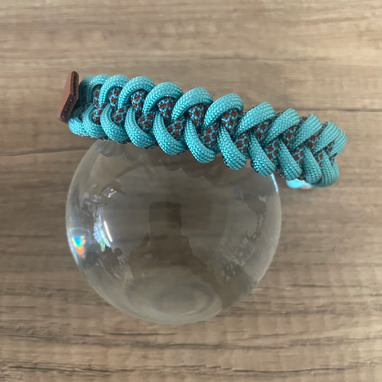 Coleira de Tubarão - Dia Elétrico