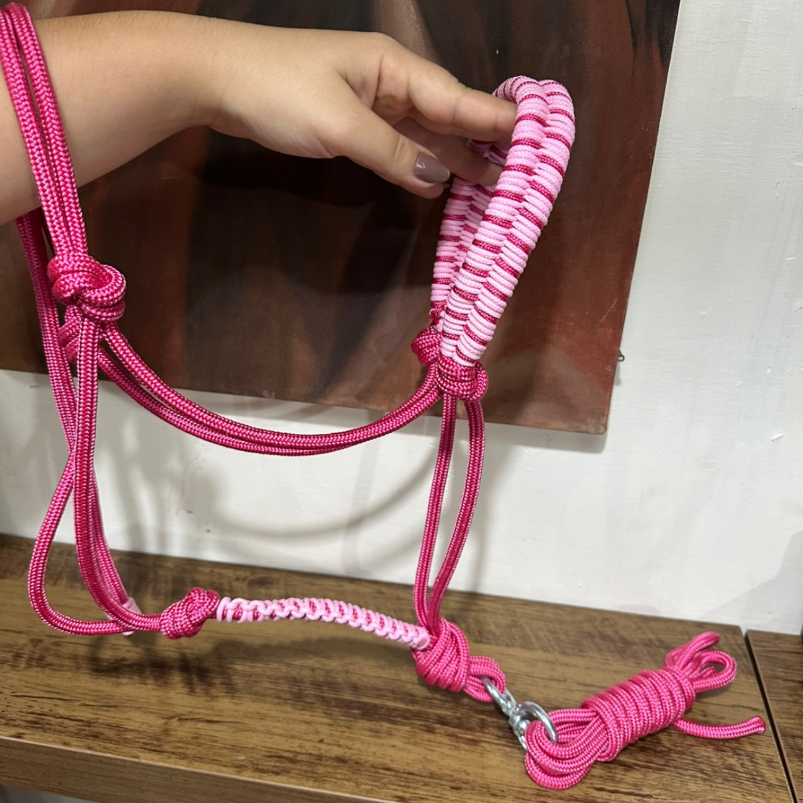 Cabresto + Guia de Cabresto | Dia a Dia