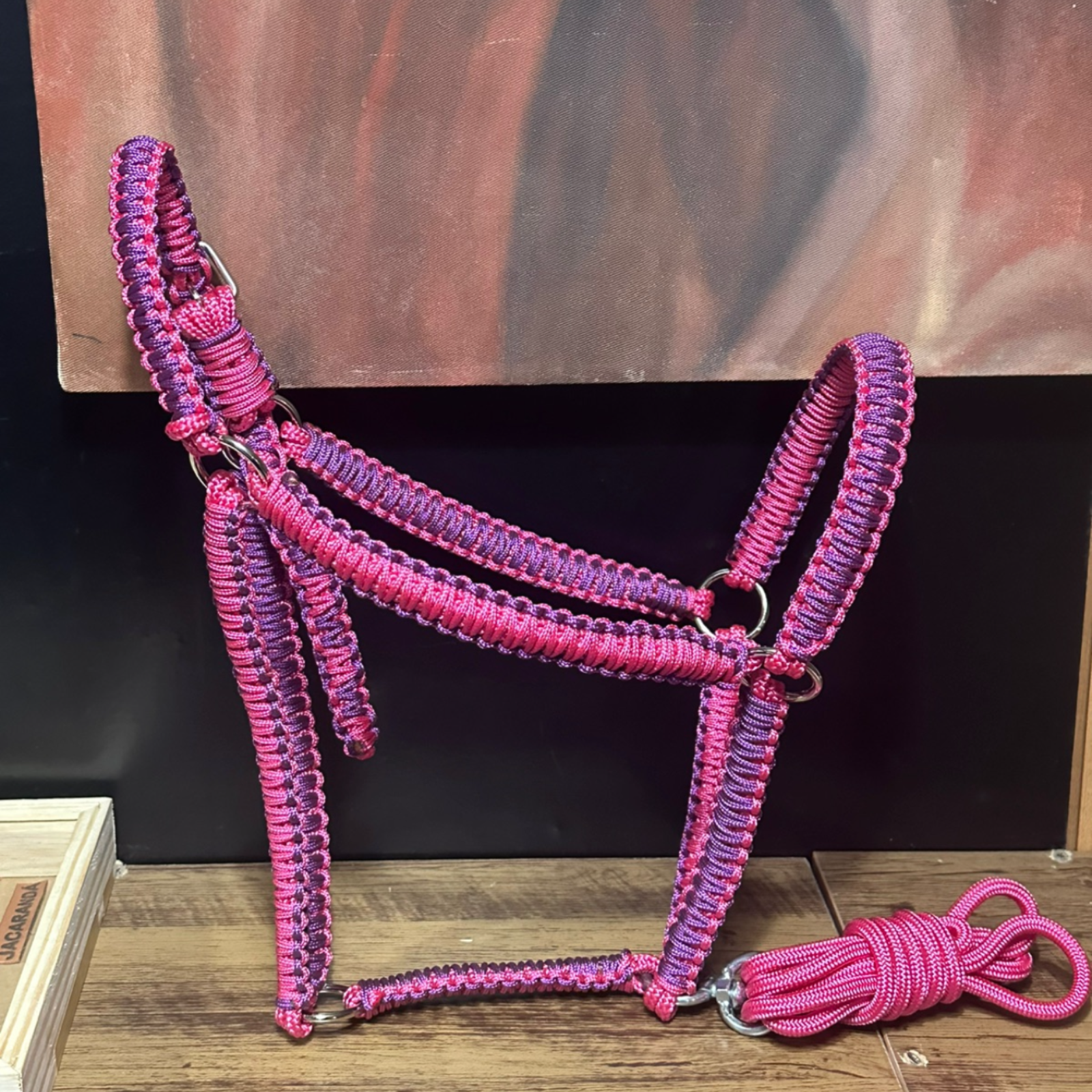 Cabresto + Guia de Cabresto | Dia a Dia