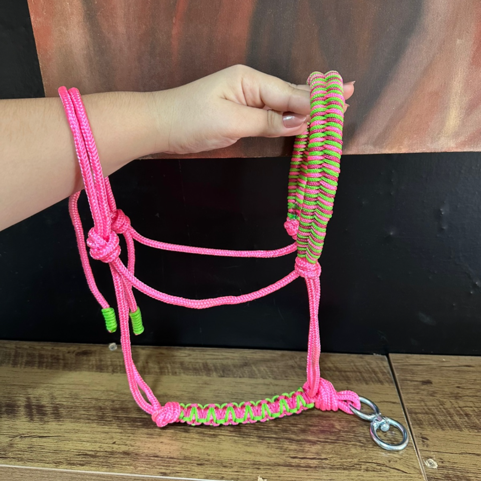 Cabresto + Guia de Cabresto | Dia a Dia