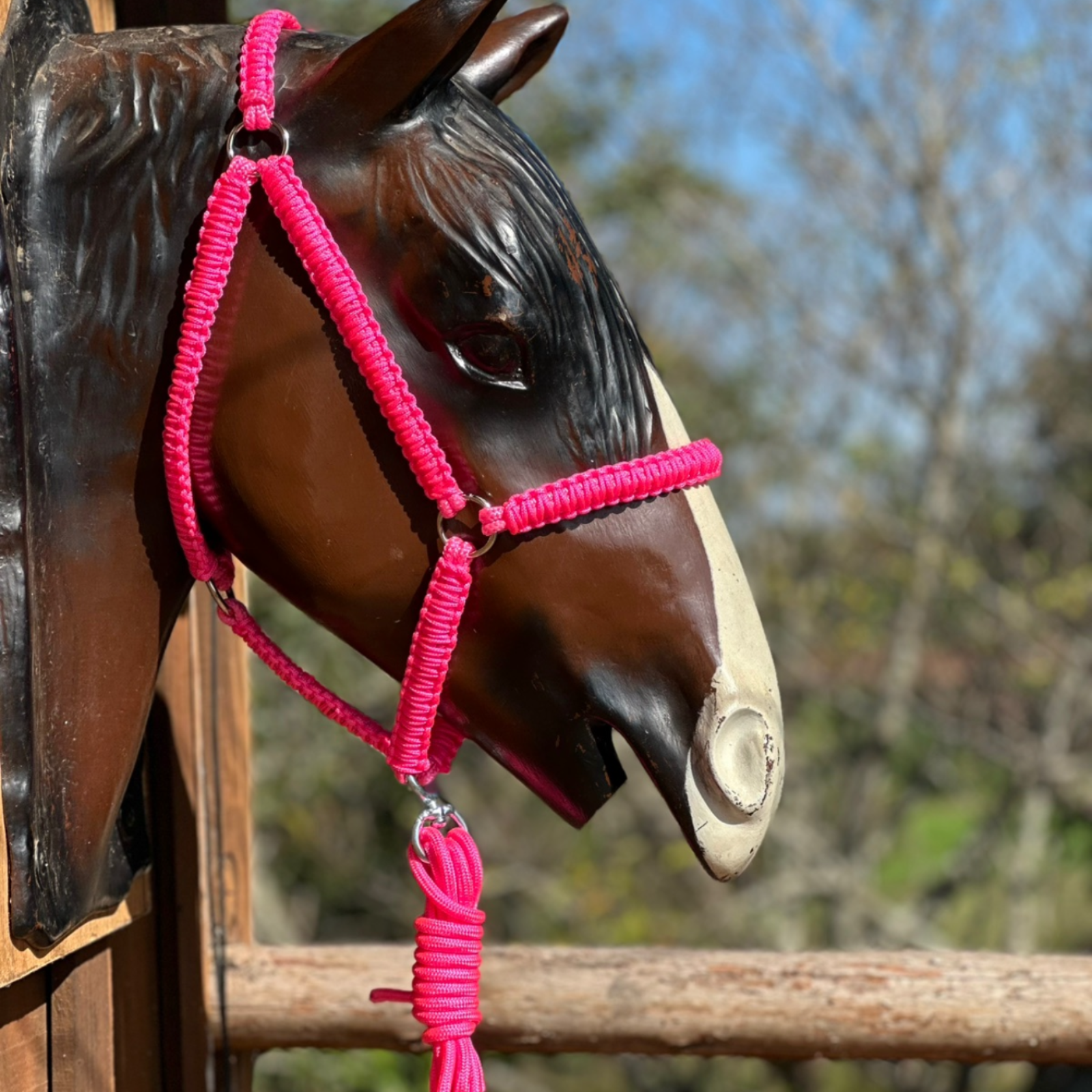 Cabresto + Guia de Cabresto | Dia a Dia