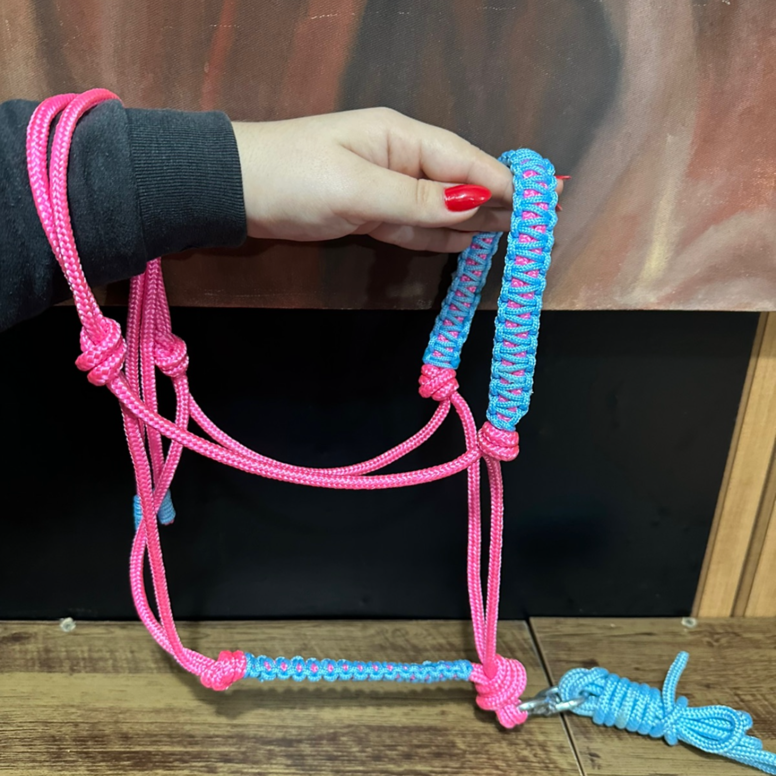 Cabresto + Guia de Cabresto | Dia a Dia