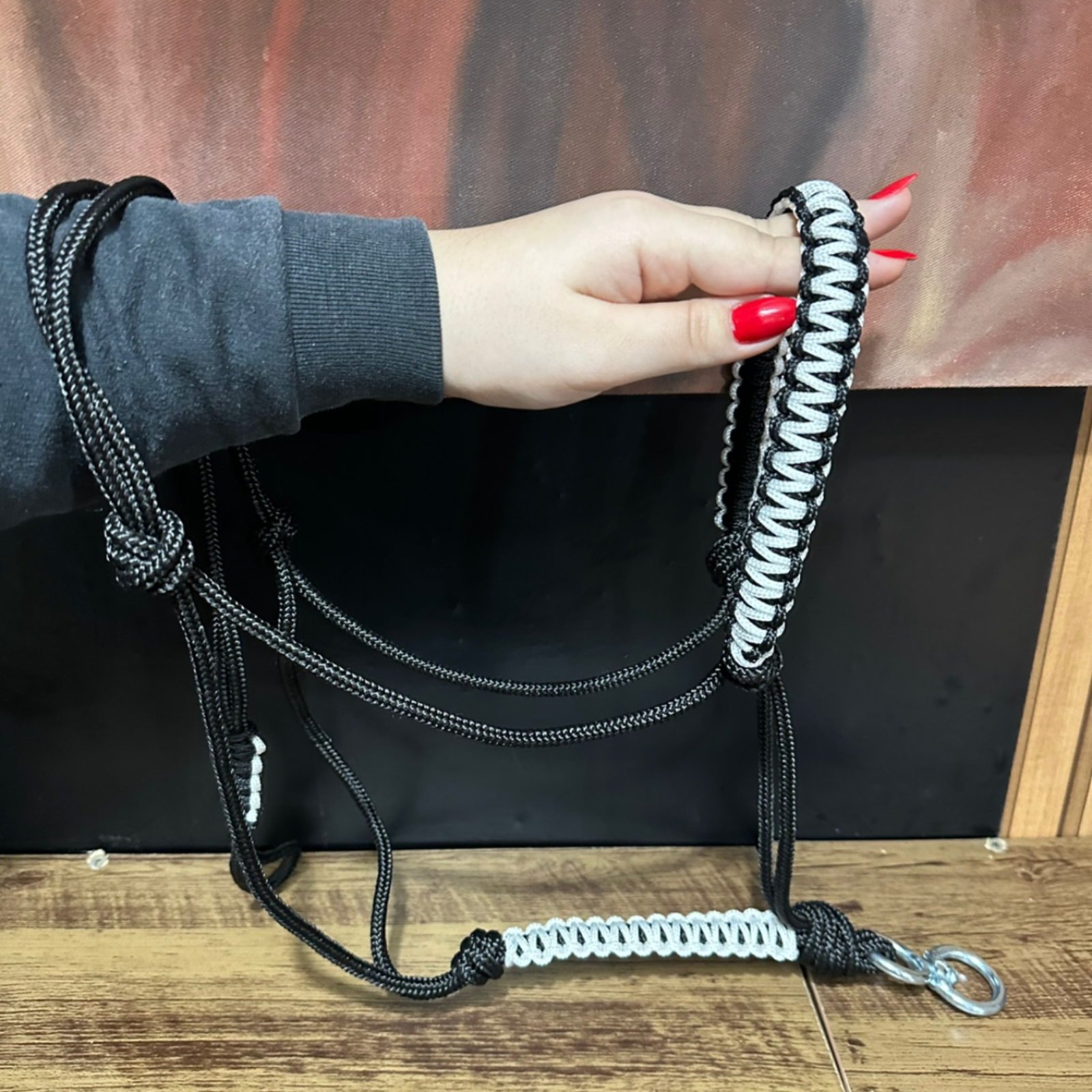 Cabresto + Guia de Cabresto | Dia a Dia