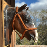 Cabresto + Guia de Cabresto | Dia a Dia