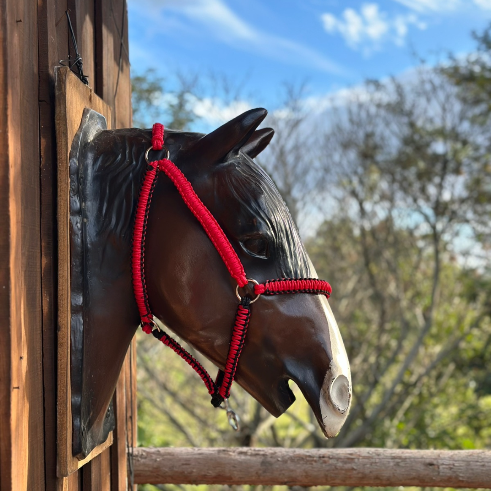 Cabresto + Guia de Cabresto | Dia a Dia