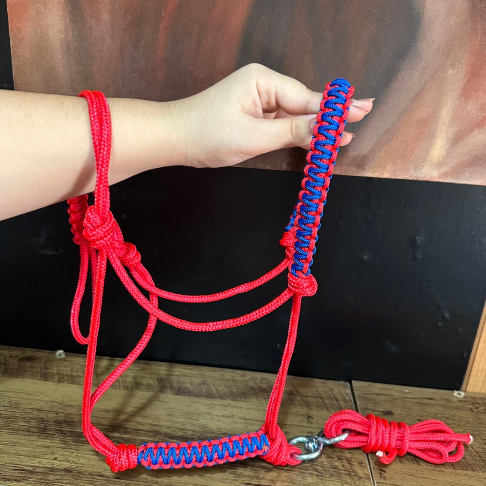 Cabresto + Guia de Cabresto | Dia a Dia