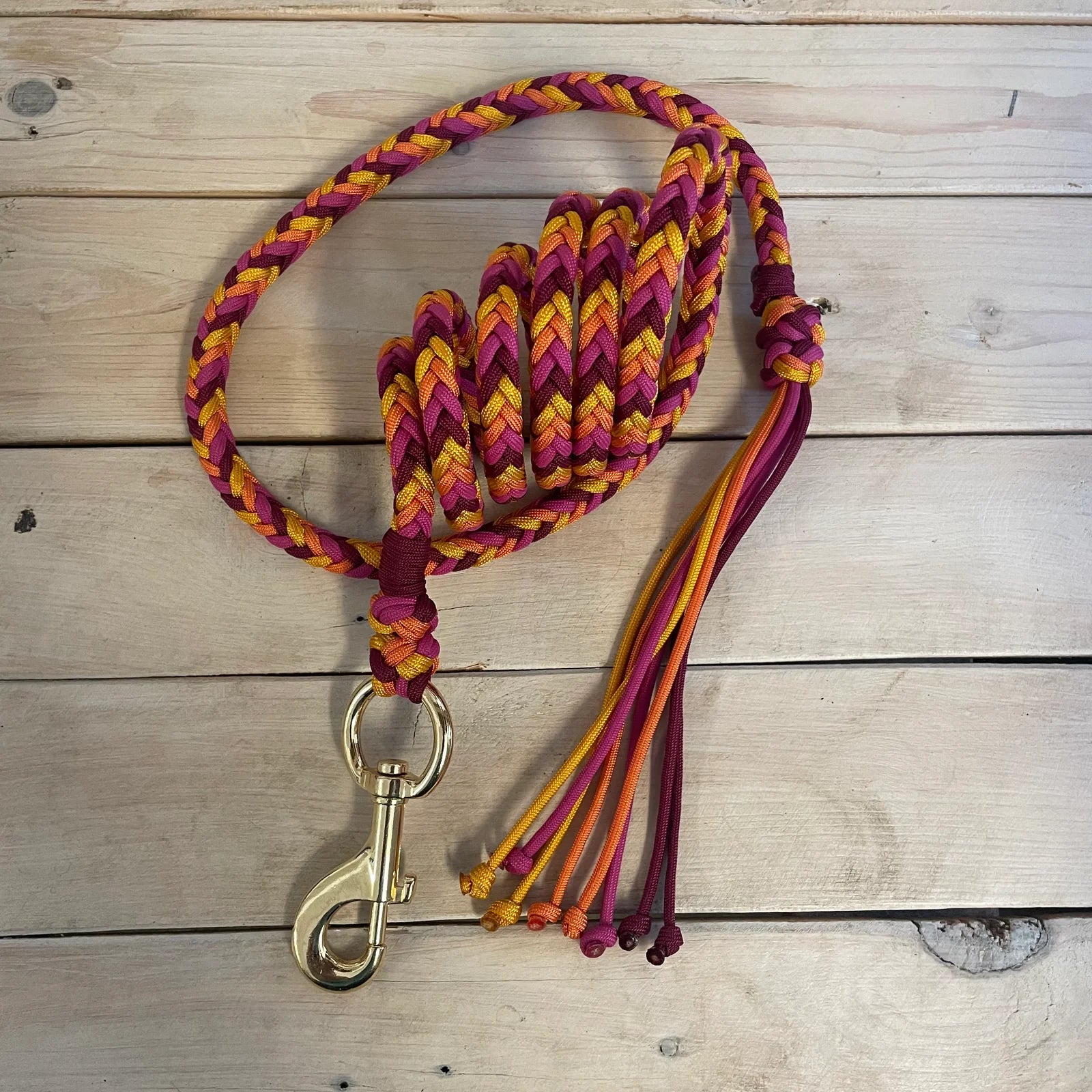 Guia para cabresto | Emoção do Nascer do Sol