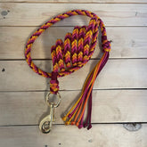 Guia para cabresto | Emoção do Nascer do Sol