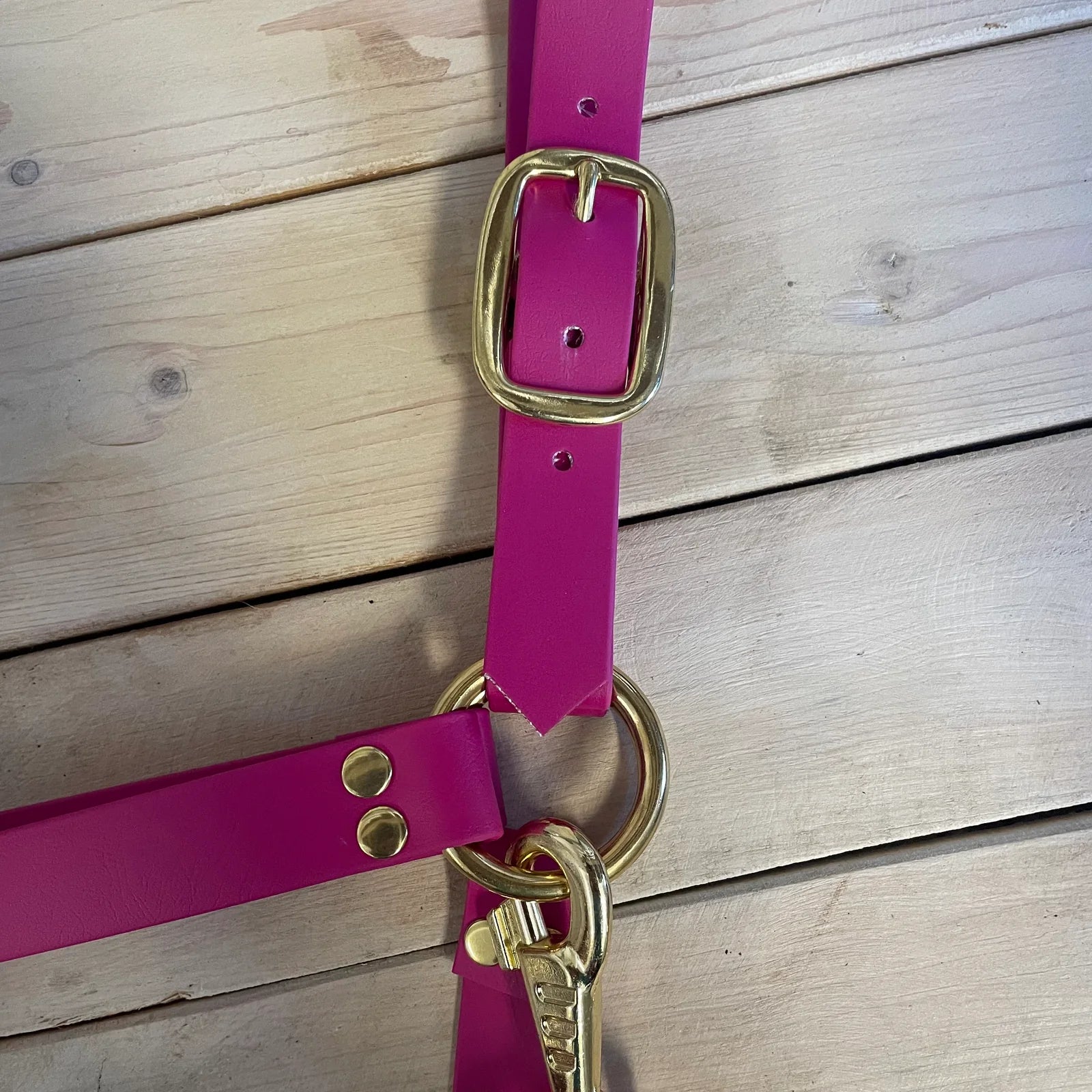 Cabresto | Sunrise Emotion