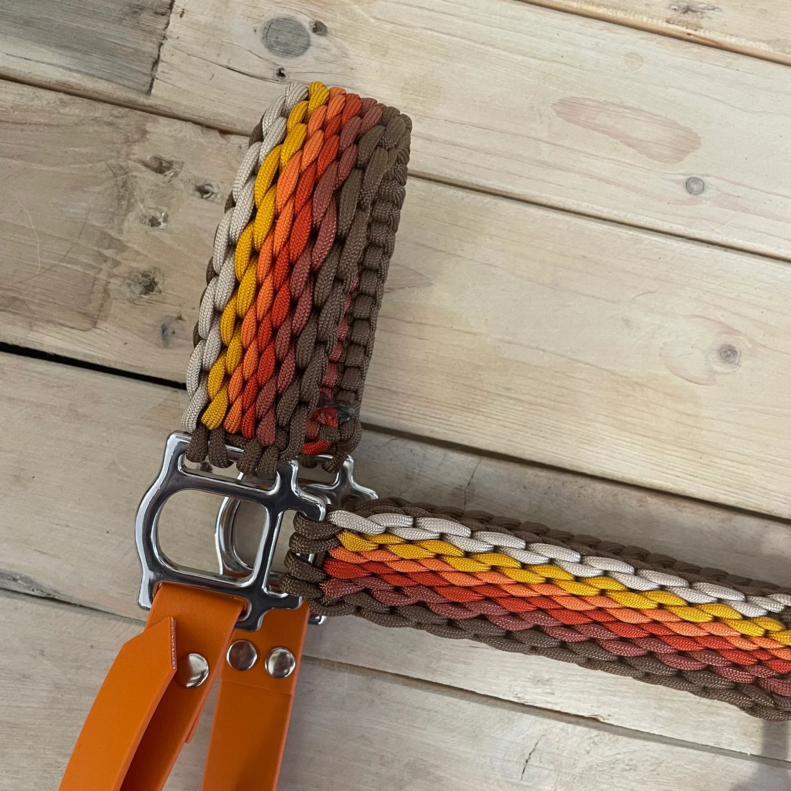 Cabresto | Folhas Caídas