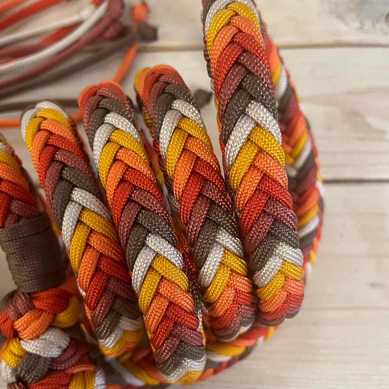 Guia para cabresto | Folhas Caídas