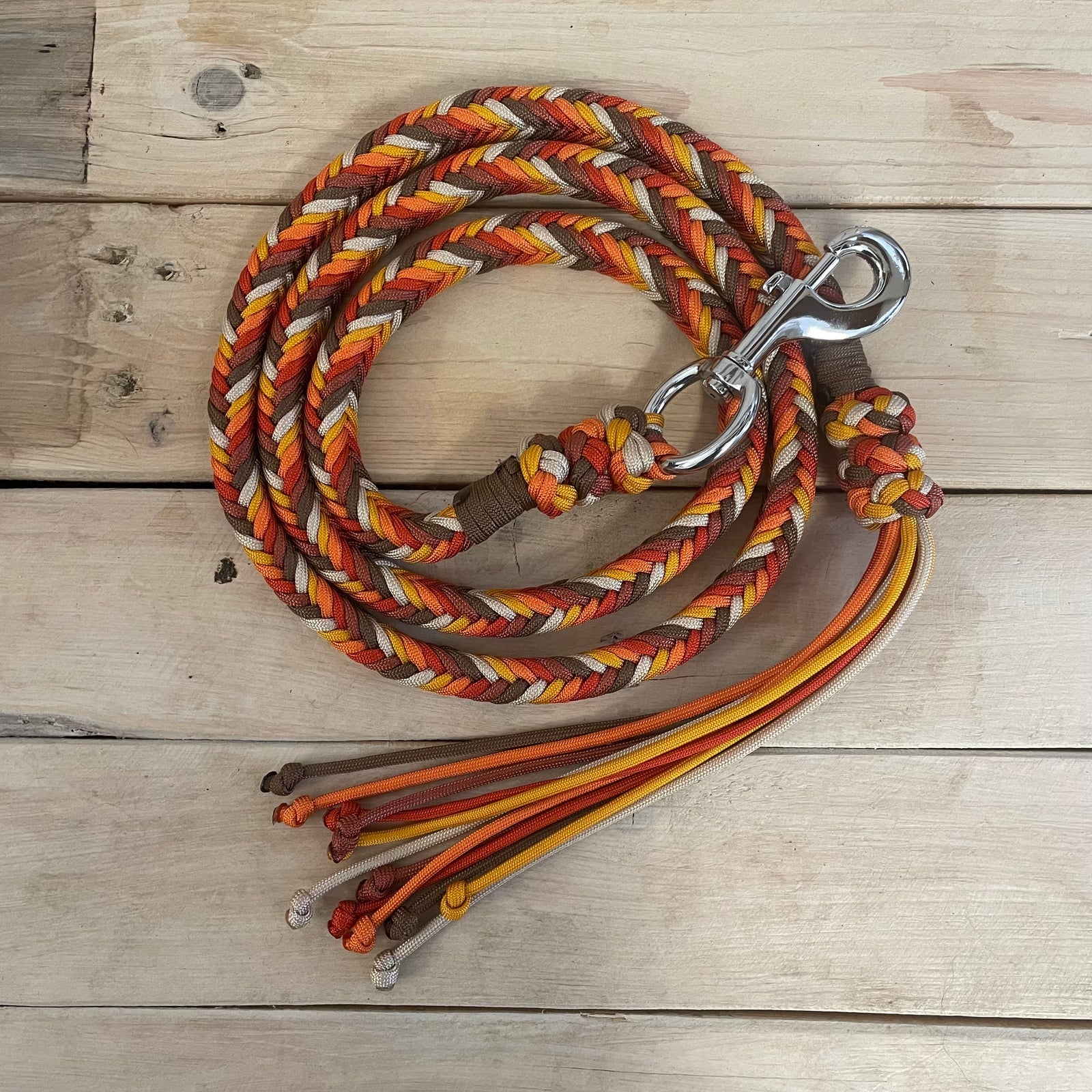 Guia para cabresto | Folhas Caídas