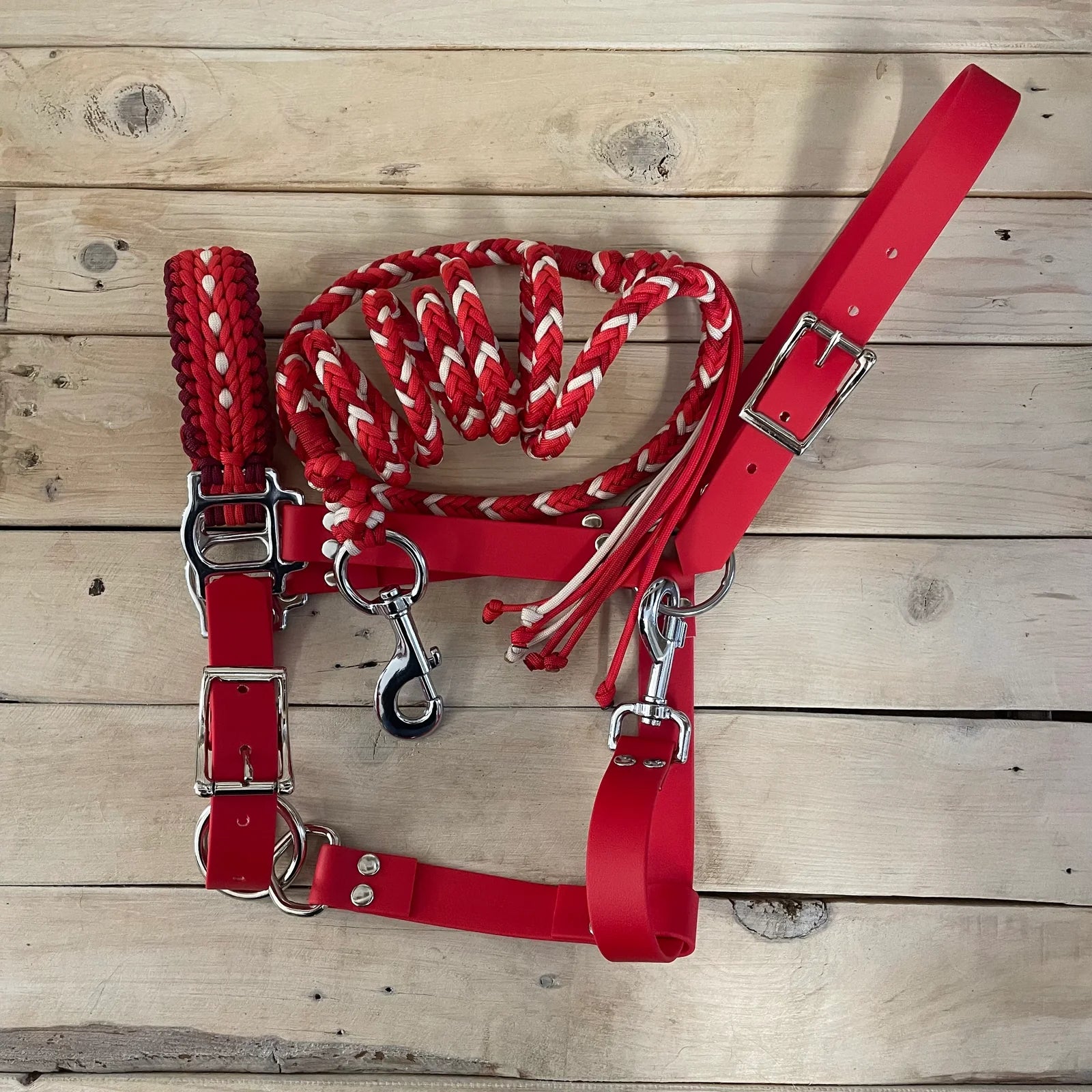 Guia para cabresto | Coração em Chamas