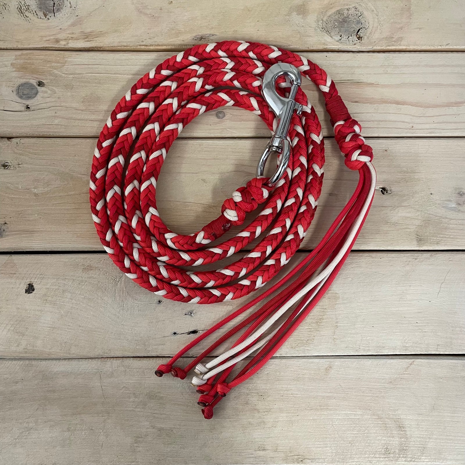 Guia para cabresto | Coração em Chamas