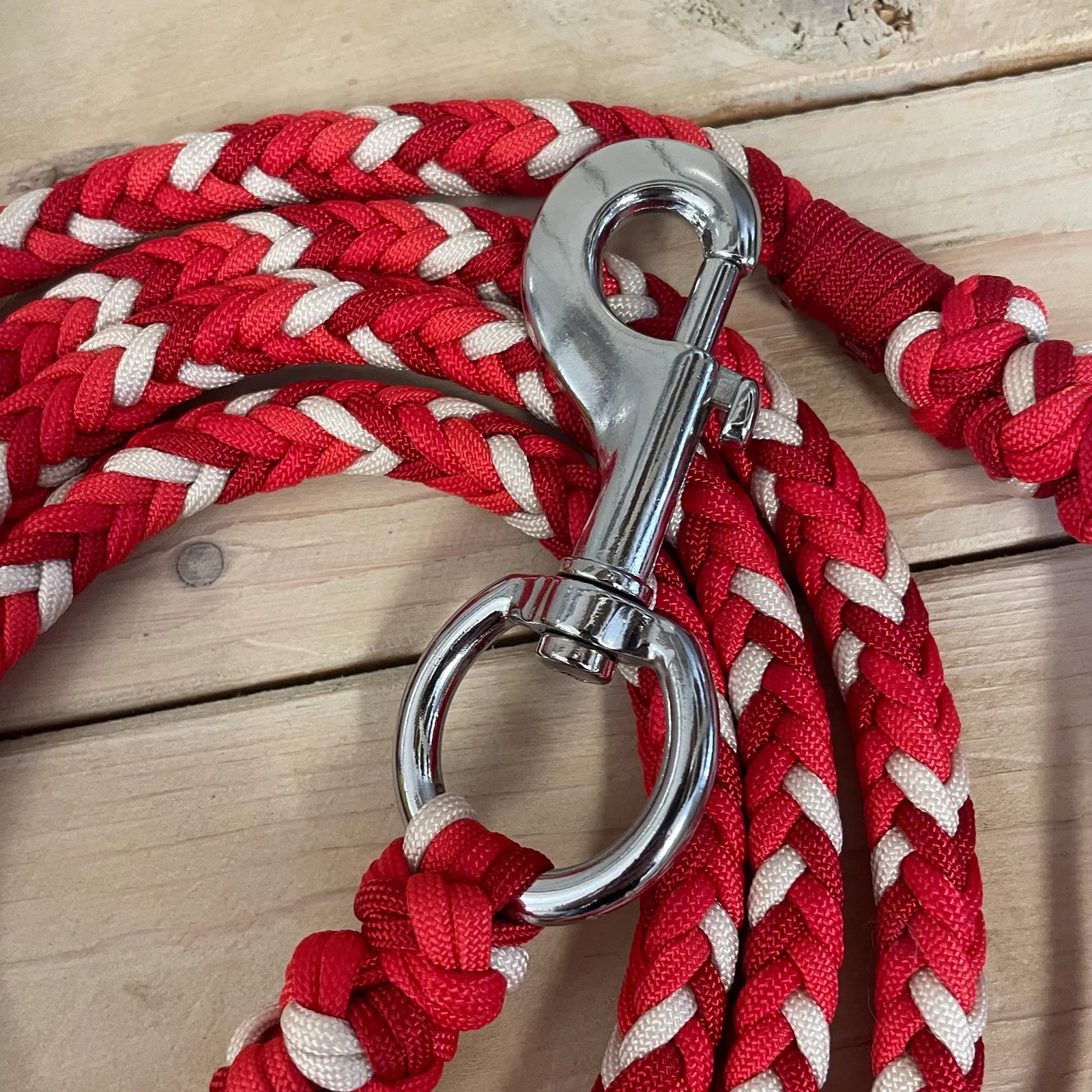 Guia para cabresto | Coração em Chamas