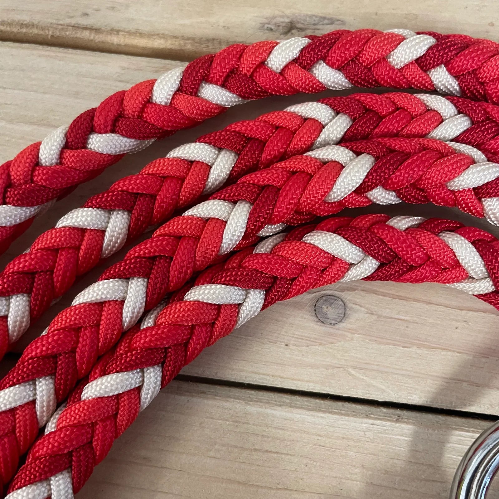 Guia para cabresto | Coração em Chamas