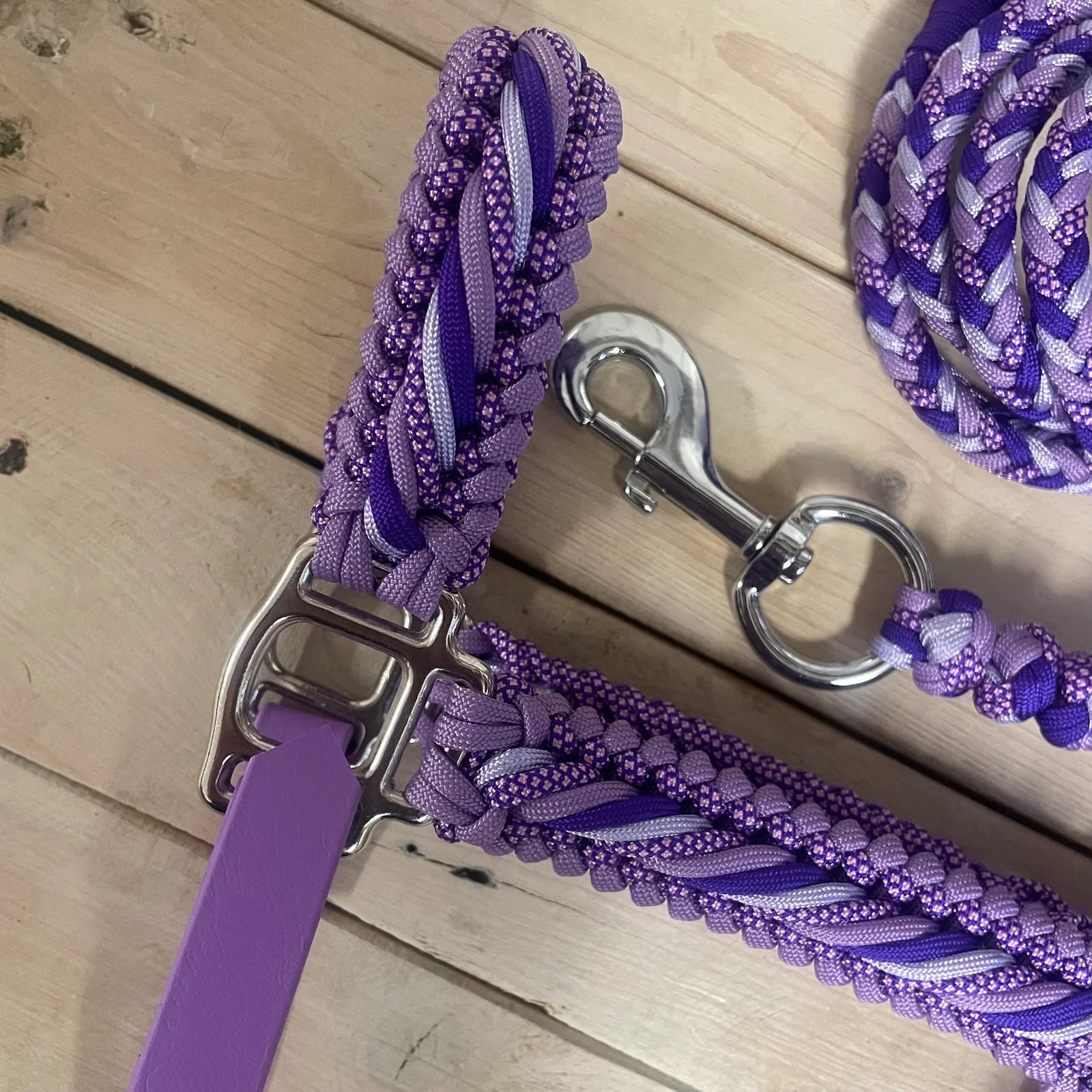 Cabresto | Sonho Roxo