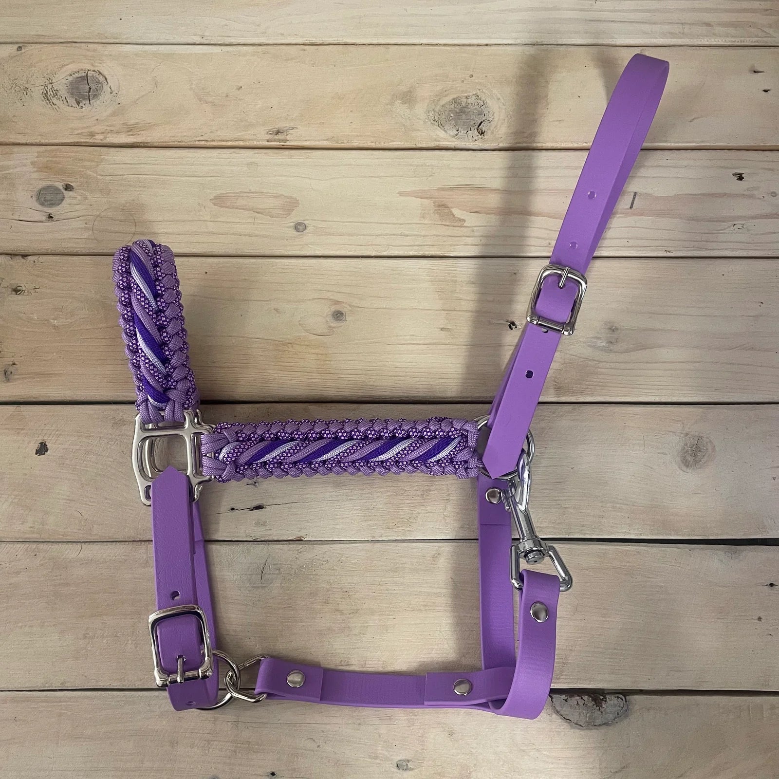 Cabresto | Sonho Roxo