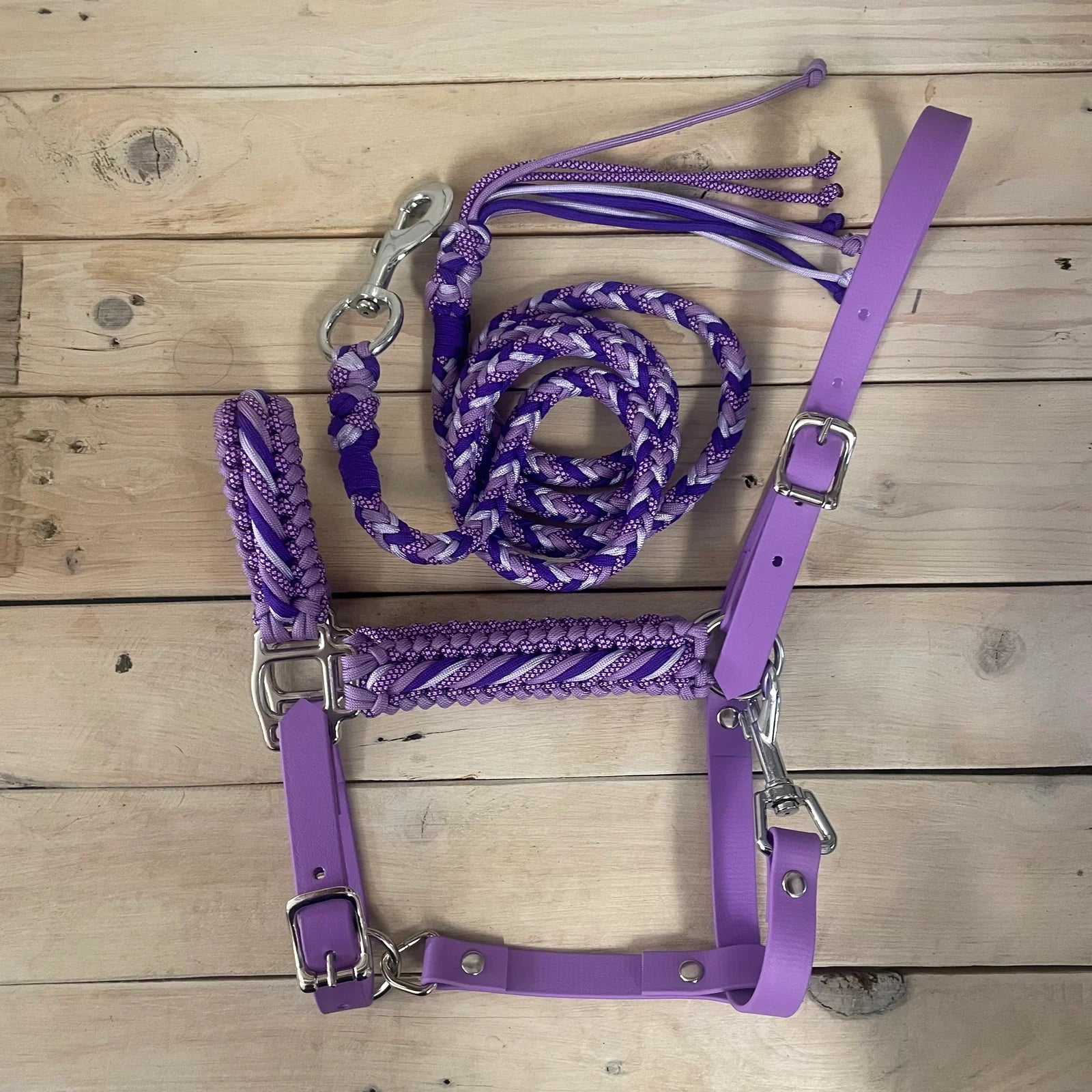 Cabresto | Sonho Roxo