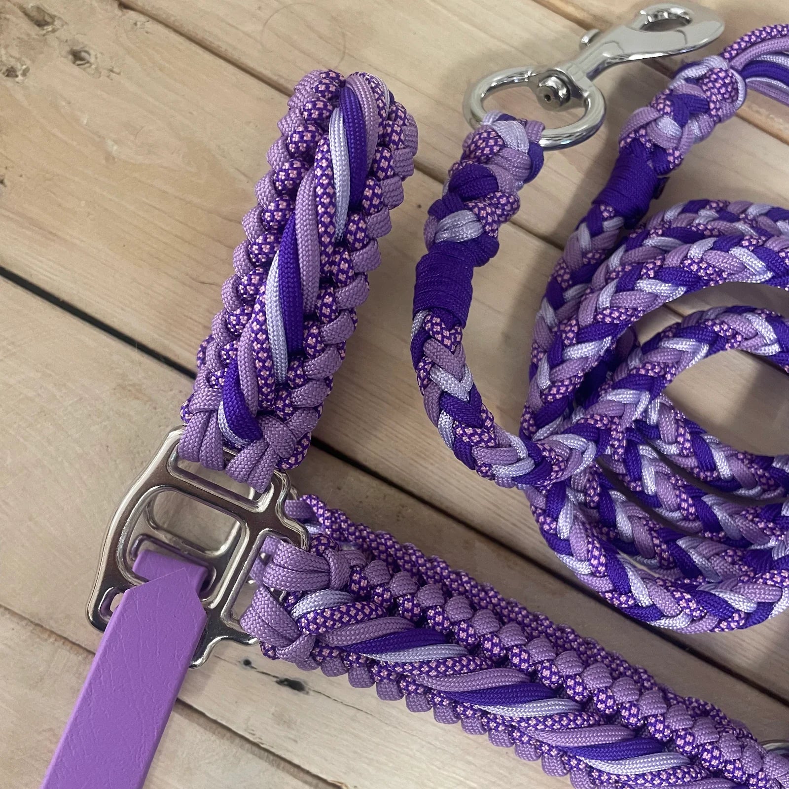 Guia para cabresto | Purple Dream