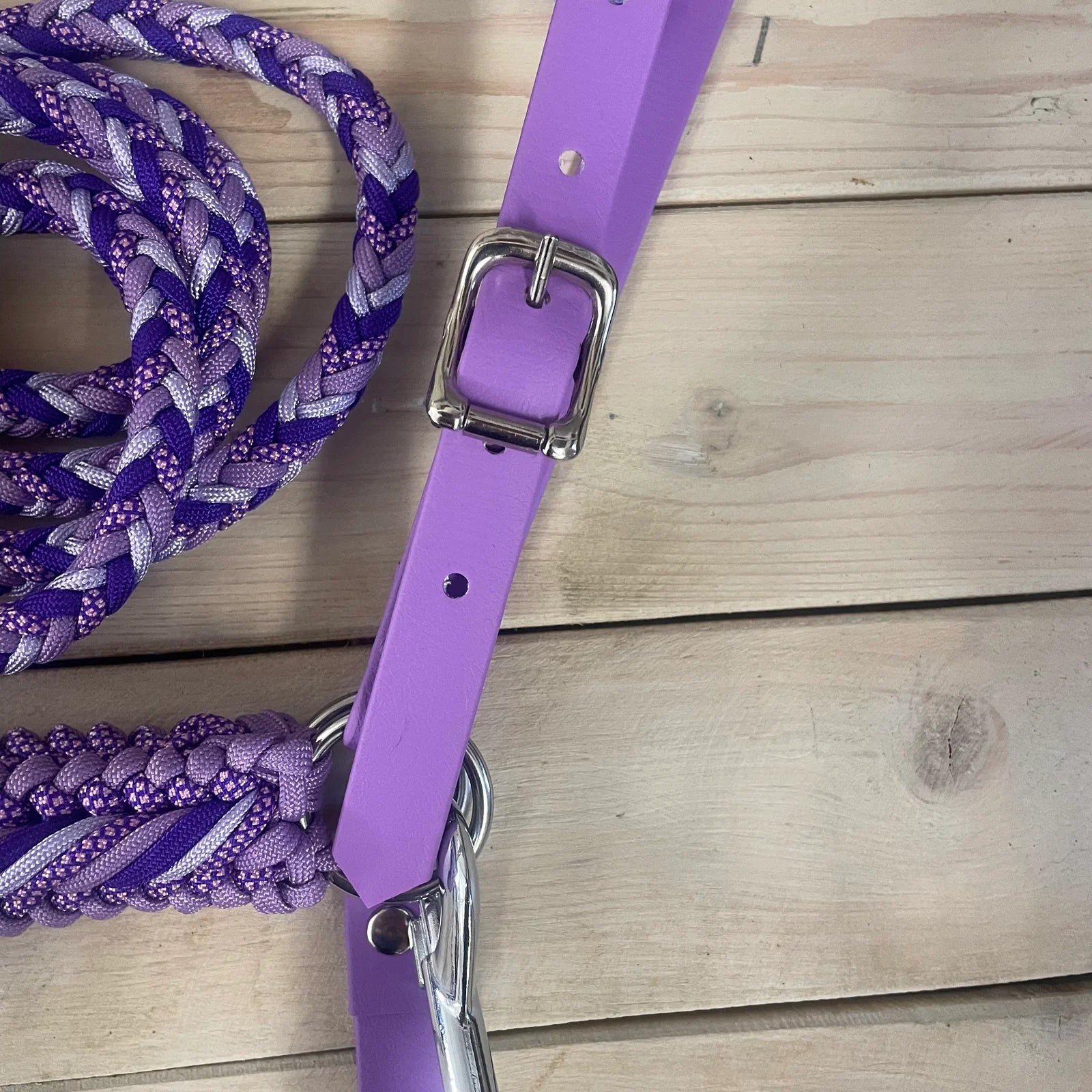 Guia para cabresto | Purple Dream