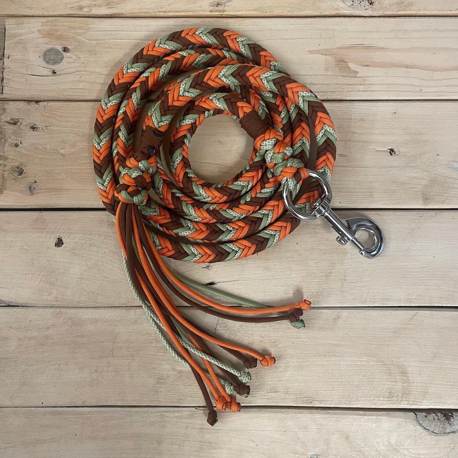 Guia para cabresto | Ovo com Abacate