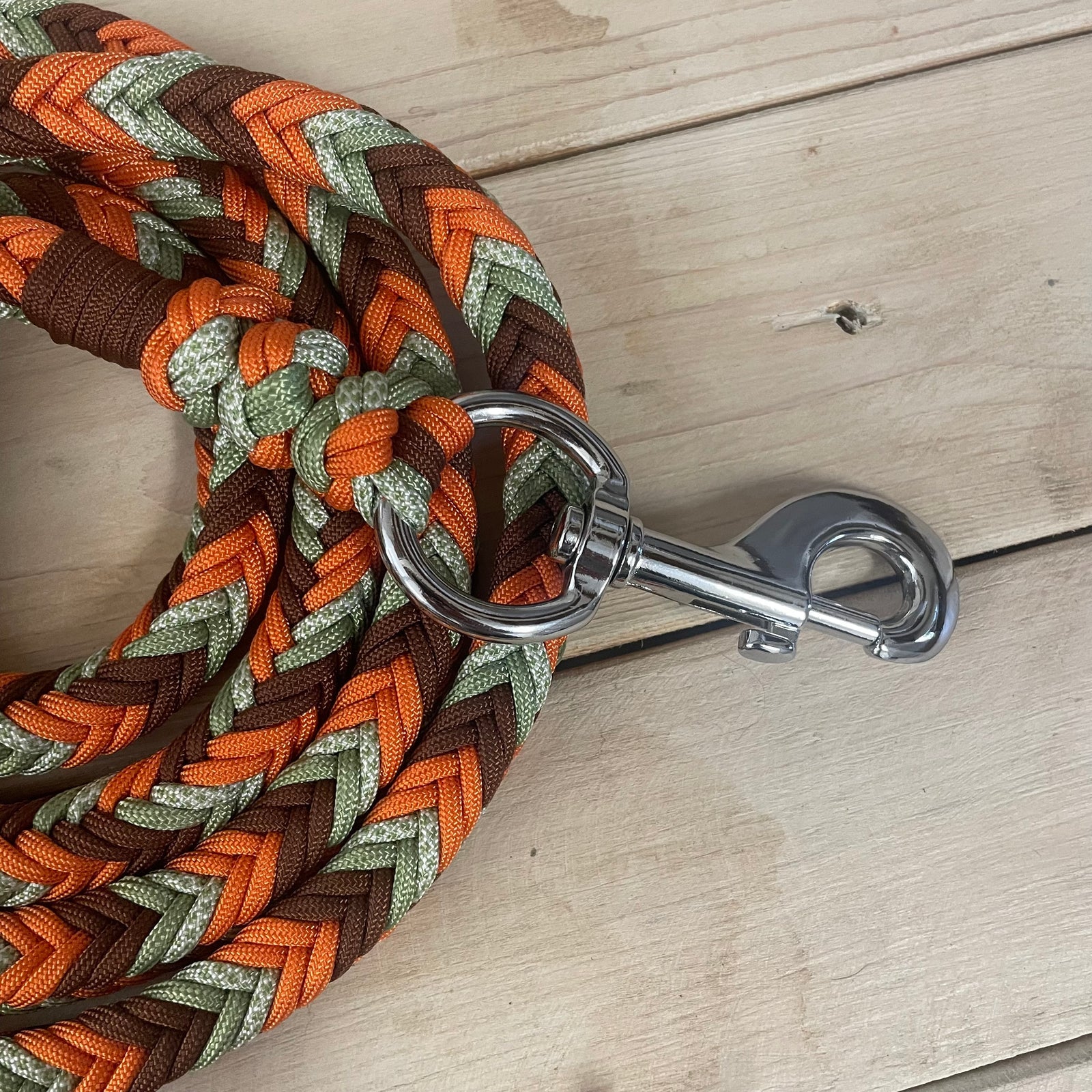 Guia para cabresto | Ovo com Abacate