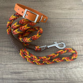 Kit filhotes | Laranja