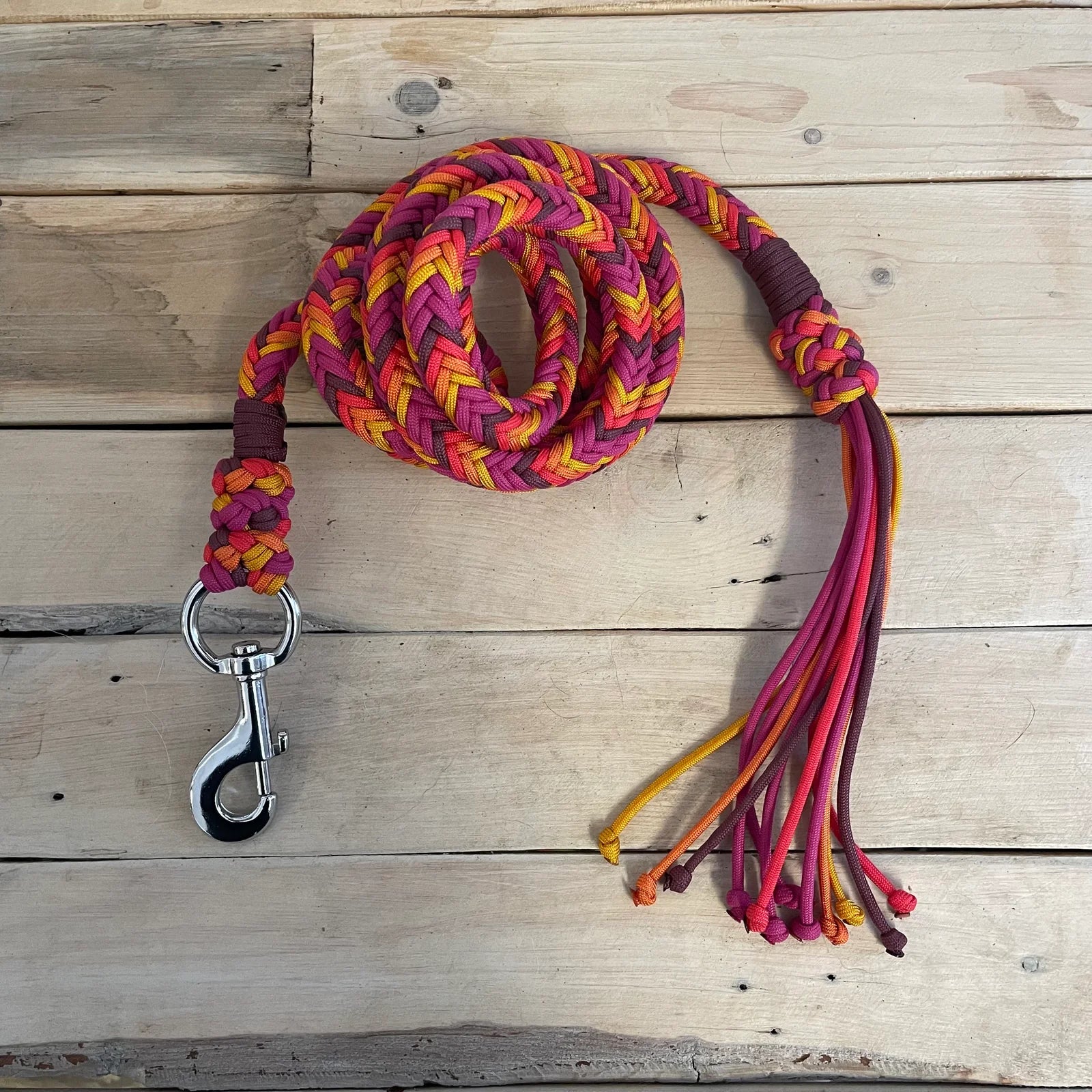 Guia para cabresto | Pôr do Sol