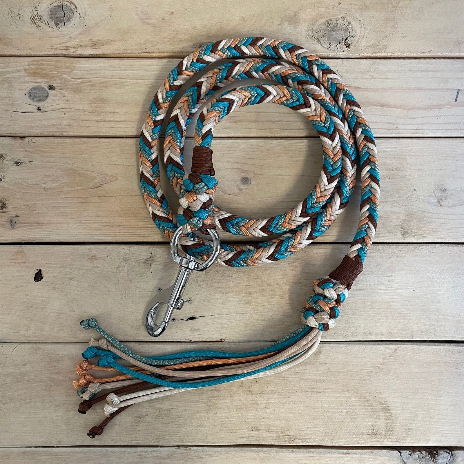 Guia para cabresto | Country