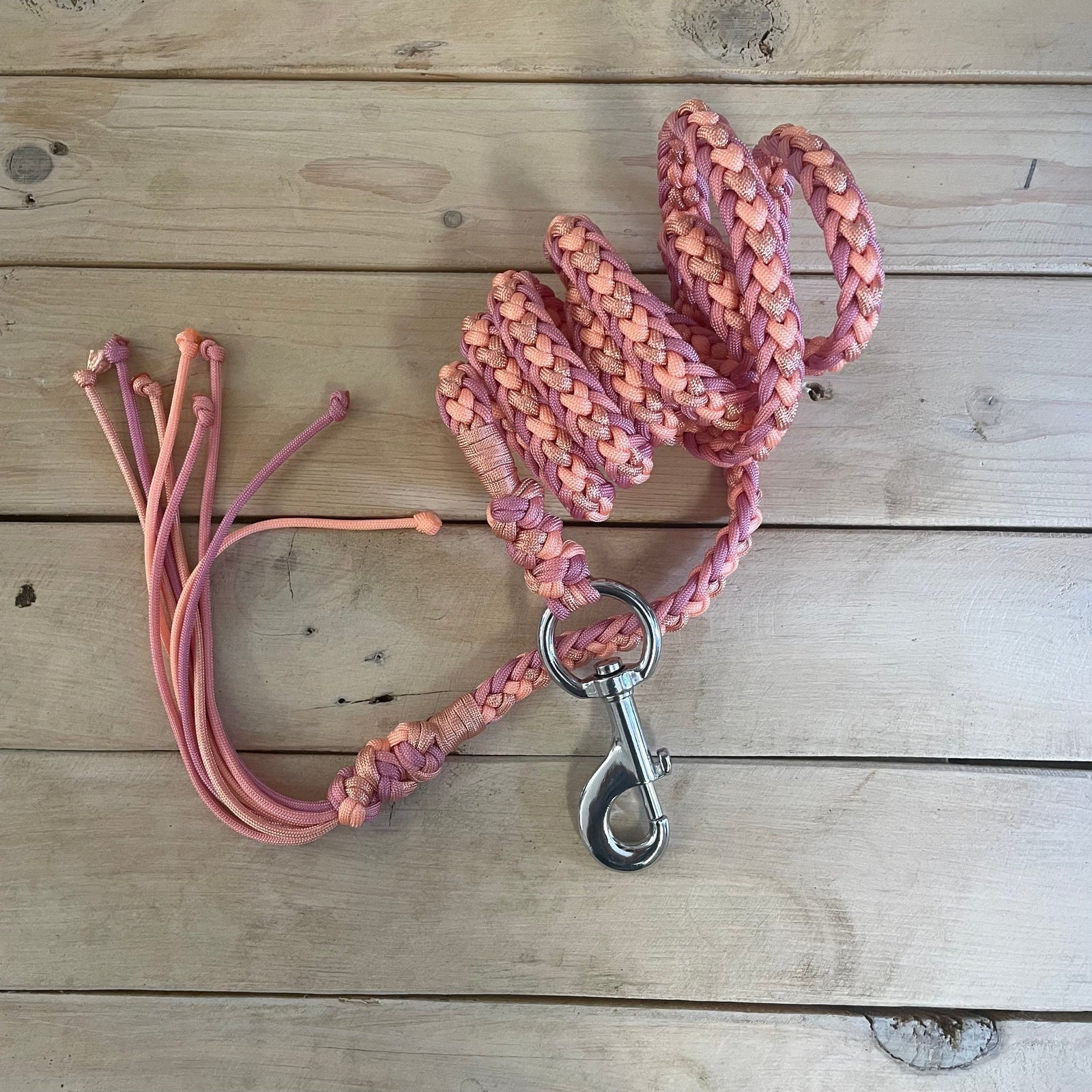 Guia para cabresto | Candy