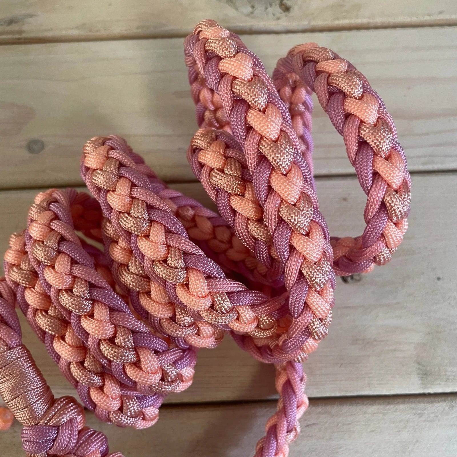 Guia para cabresto | Candy