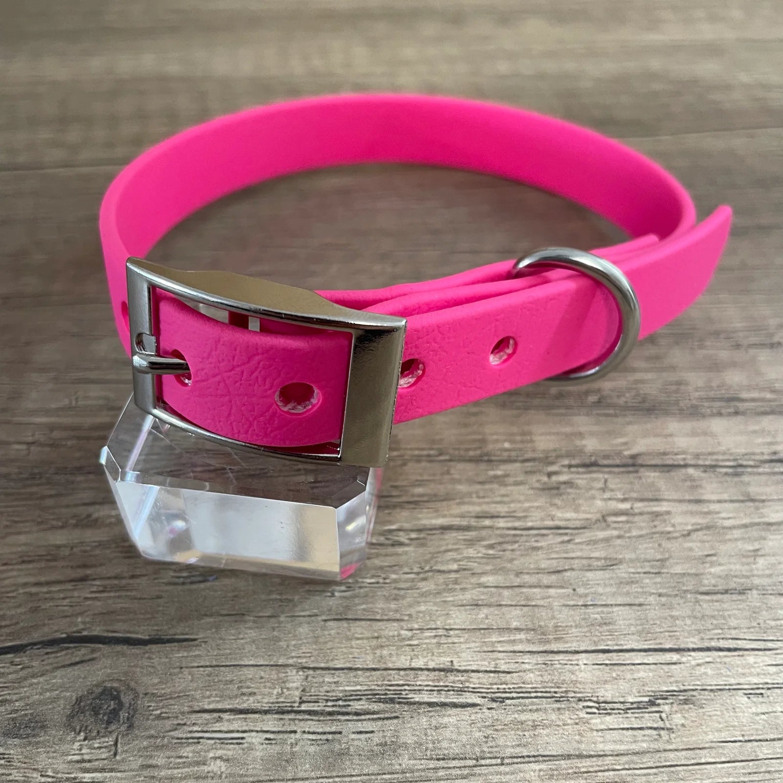 Kit filhotes | Fêmea